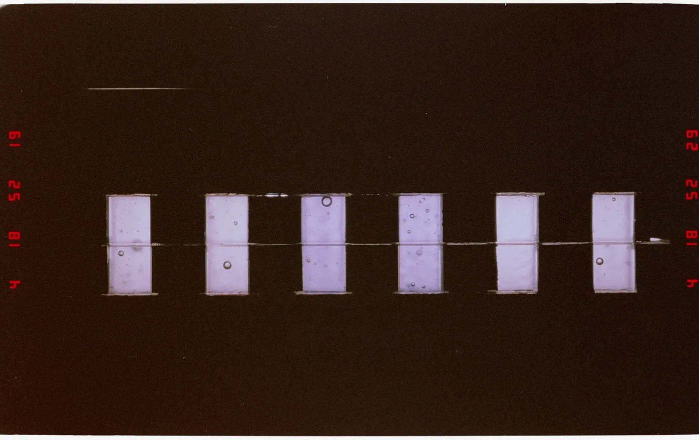 209 018 Protein crystal growth sample trays from the middeck CMIX experiment module. DPLA 4b53101a2bf303e9dc24c90276af6878