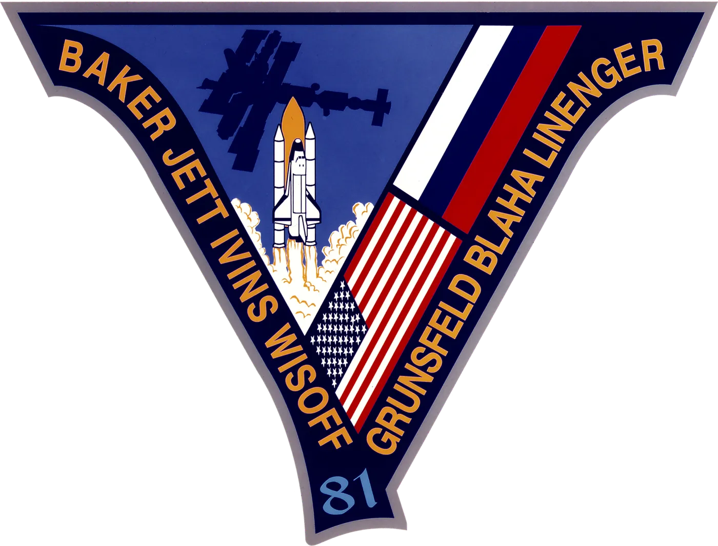 Sts 81 patch