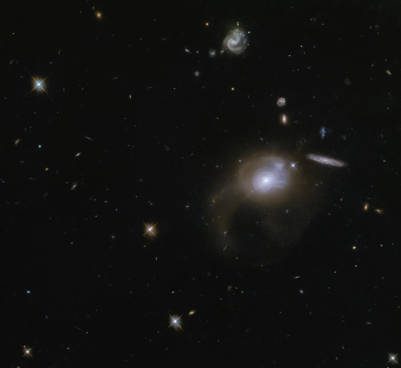 Cosmic wonderland