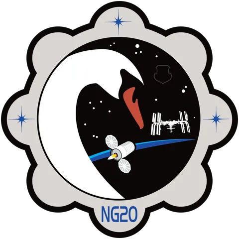 Cygnus NG 20 Patch