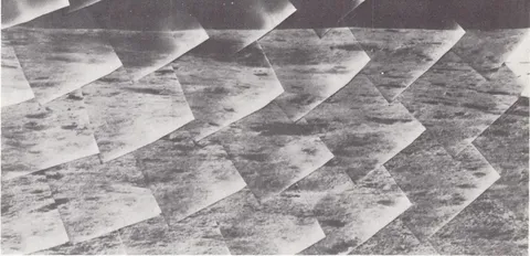 Surveyor 6 Fig 7 41d1