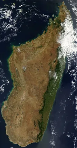 Terra