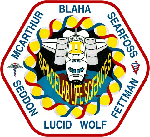 Sts 58 patch