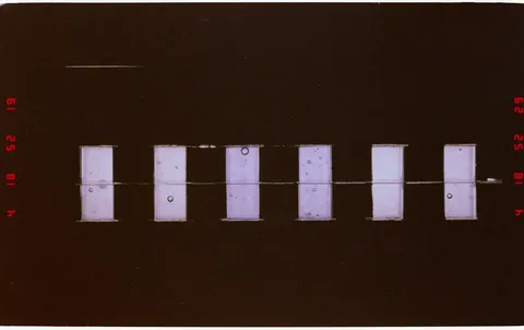 209 018 Protein crystal growth sample trays from the middeck CMIX experiment module. DPLA 4b53101a2bf303e9dc24c90276af6878