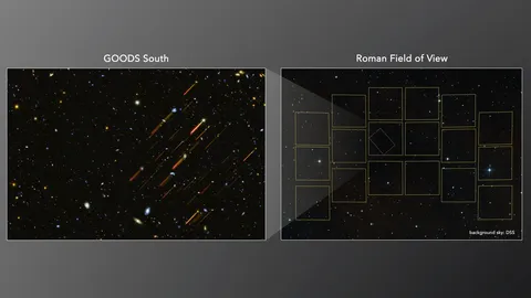 Demonstration of Roman's Field of View