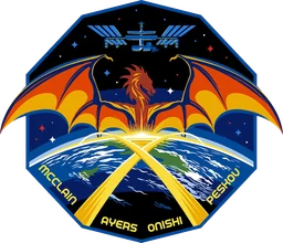 SpaceX Crew-10 patch