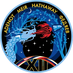 SpaceX Crew-12 patch