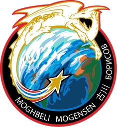 SpaceX Crew-7 patch