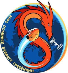 SpaceX Crew-8 patch