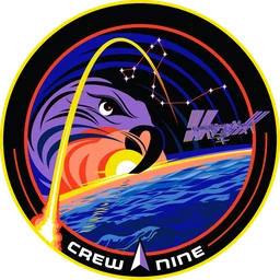 SpaceX Crew-9 patch