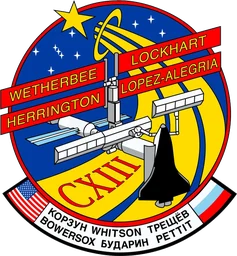 STS-113 patch