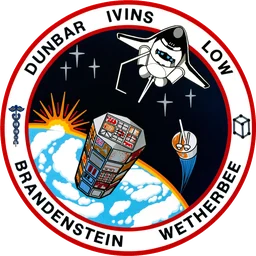 STS-32 patch