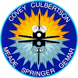 STS-38 patch