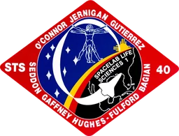 STS-40 patch