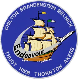 STS-49 patch