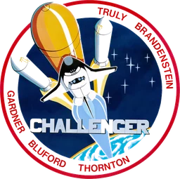 STS-8 patch